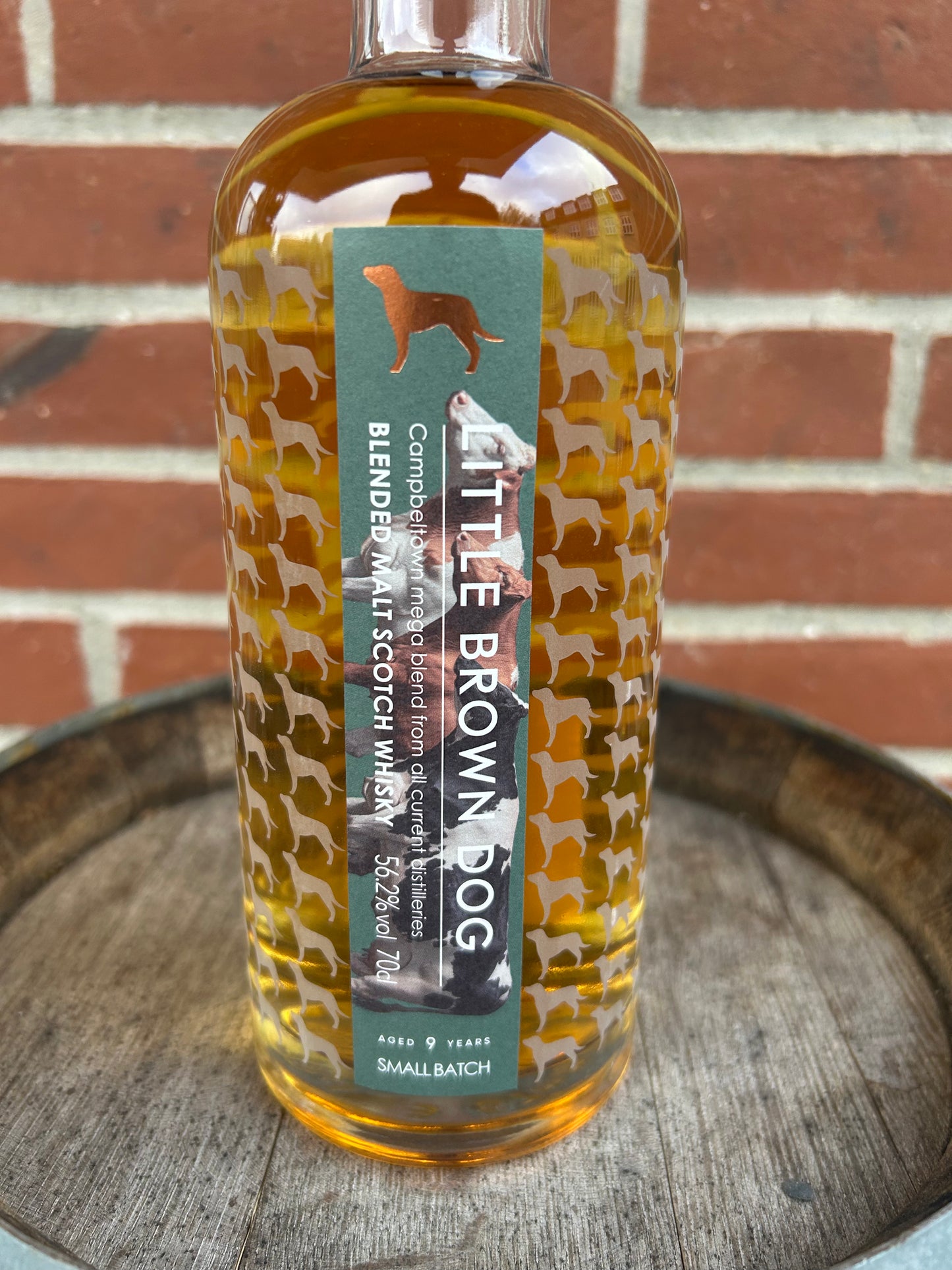 Campbeltown Mega Blended Malt 9 år 56,2% Little Brown Dog