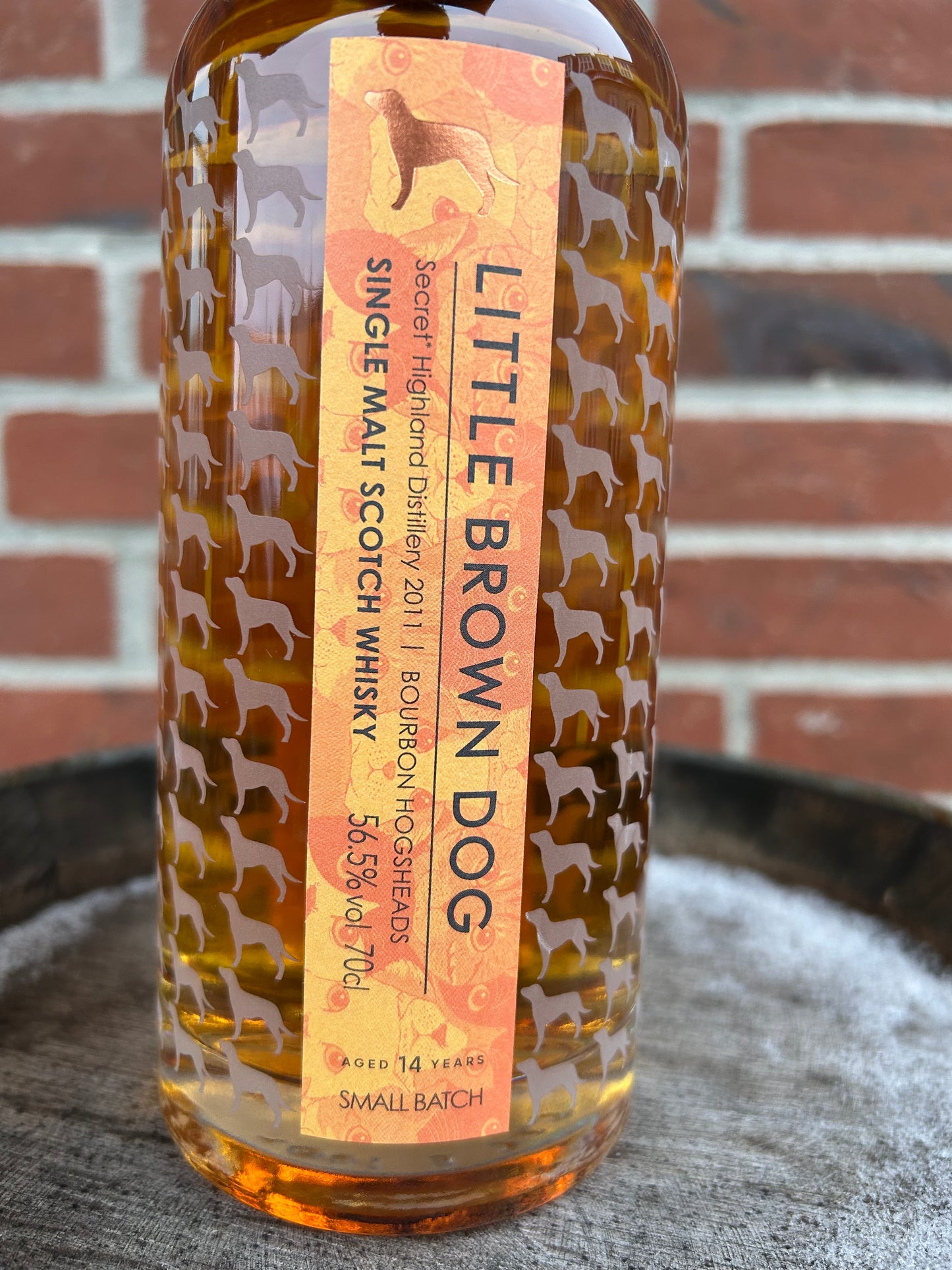 Secret Highland 2011 (CL) 14 år 56,5% Little Brown Dog