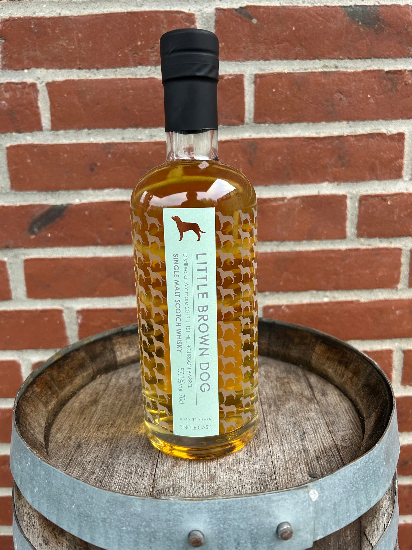 Ardmore 2013 11 år heavily peated 57,1% Little Brown Dog
