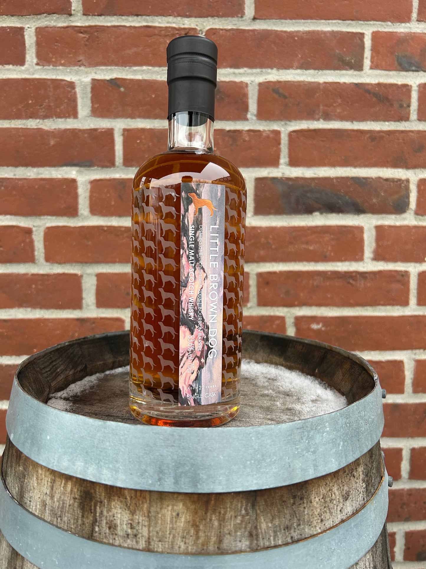 Bruichladdich 2003 22 år 53,6% Little Brown Dog